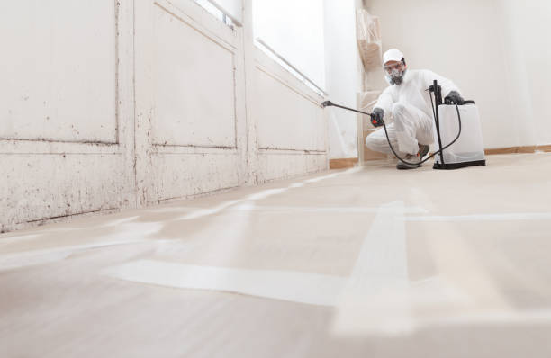 24/7 Emergency Mold Remediation experts in Tomball, TX