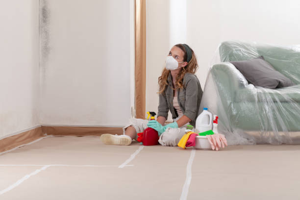 Reliable Mold Remediation contractor in Tomball, TX by WQB Mold Removal